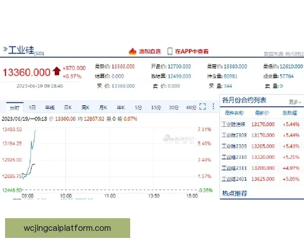 全面解析体育竞猜网站玩法技巧与投注技巧指南